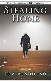stelaing home book cover
