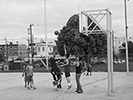 boys playing basketball